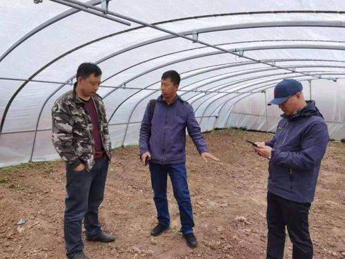 百期網(wǎng)課開新局，科技助農(nóng)譜新篇——市農(nóng)業(yè)科學(xué)院“學(xué)史力行慶華誕”網(wǎng)絡(luò)課堂圓滿結(jié)課